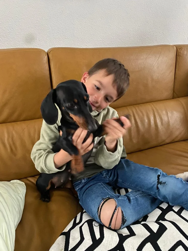 Junge mit Dackel auf Ledersofa
