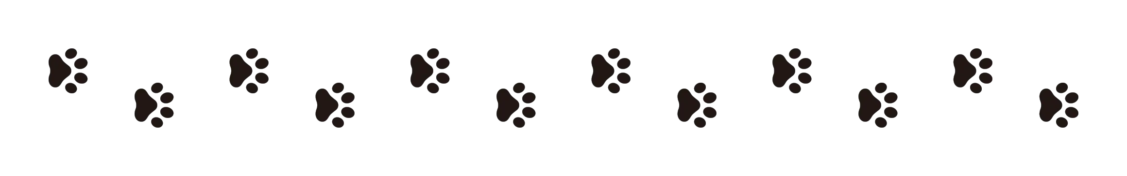 Mara Models – Tiere
